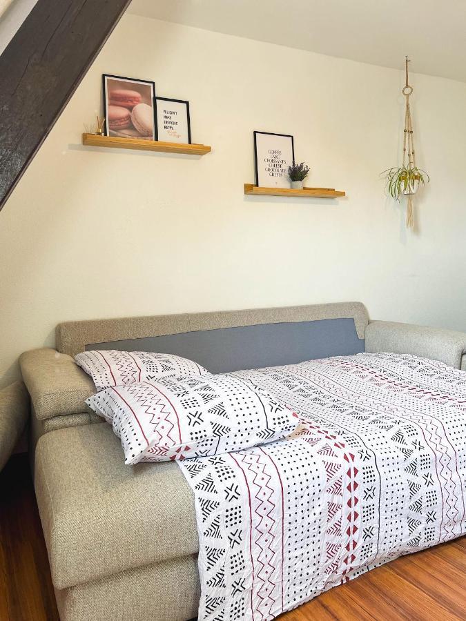 Appart'Hotel Le Dornach - Proche Gare Et Autoroute Μυλούζη Εξωτερικό φωτογραφία